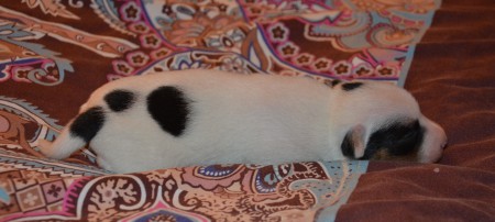 ENDYMION: ....uuuuuund - Eindrücke verarbeiten!